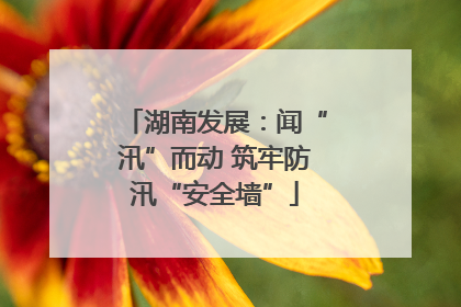 湖南发展：闻“汛”而动 筑牢防汛“安全墙”